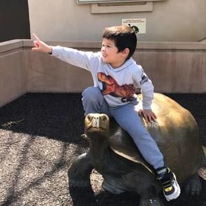 Meet your Posher, Jackie